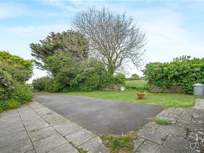 Picture 26